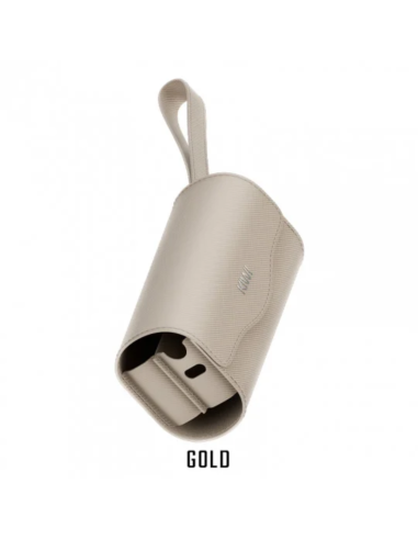 Case Kiwi 2 - Kiwi Vapor