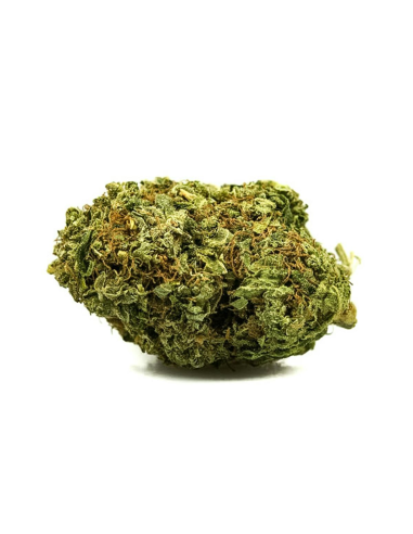CBD Calanda Kush Suisse - 1g